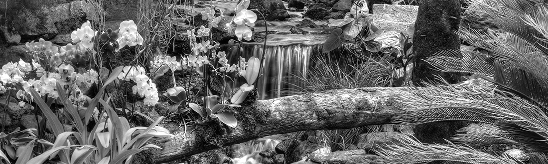 IMG_7607_Monochrome 2